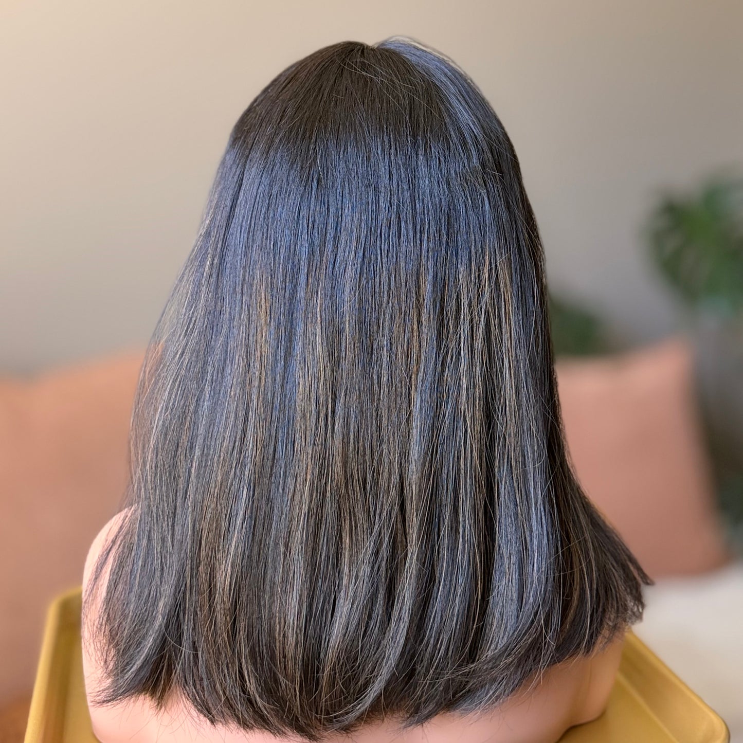 The Jamie w/ Carmel Highlights